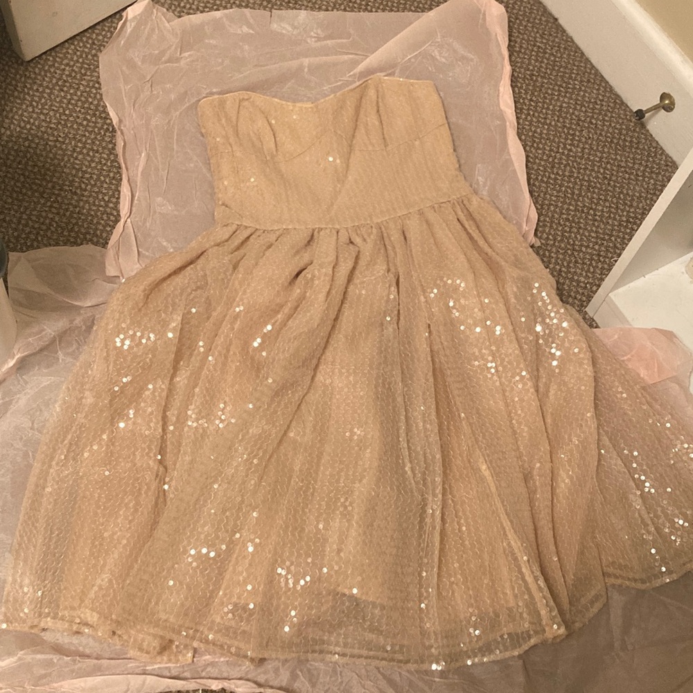 NWT Candied Degas Dress